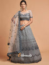 Elegant Metallic Grey Net Lehenga Choli