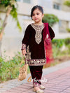 Majestic Maroon Velvet Suit with Fancy Net Dupatta